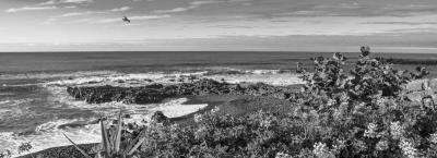 9840250/adobestock-109137167-teneriffa_1776064959491.jpeg