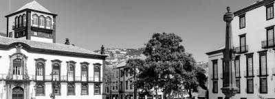 9840250/adobestock-163968843-madeira_1776064888701.jpeg