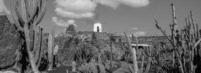 9840250/adobestock-164198842-lanzarote_1776065005041.jpeg