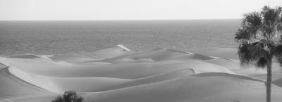 9840250/adobestock-224149393-gran-canaria_1776064859434.jpeg