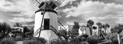 9840250/adobestock-244126873-fuerteventura_1776064986999.jpeg
