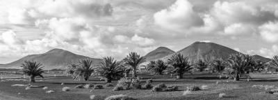9840250/adobestock-310257769-lanzarote_1776064749351.jpeg