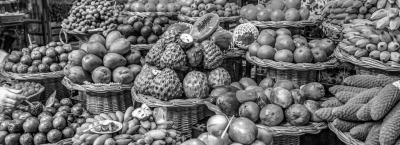 9840250/adobestock-322907159-madeira_1776064897972.jpeg
