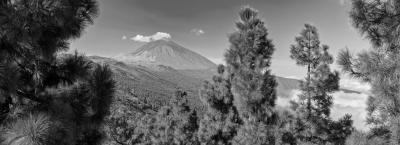 9840250/adobestock-489878334-tenerifa_1776064625930.jpeg