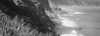 9840250/adobestock-64289406-madeira_1776064724371.jpeg