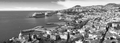 9840250/adobestock-701077006-maderia_1776064908190.jpeg