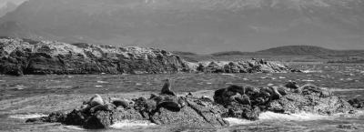 9840253/adobestock-236143225-beagle-kanal-seel-wen_1776068658965.jpeg