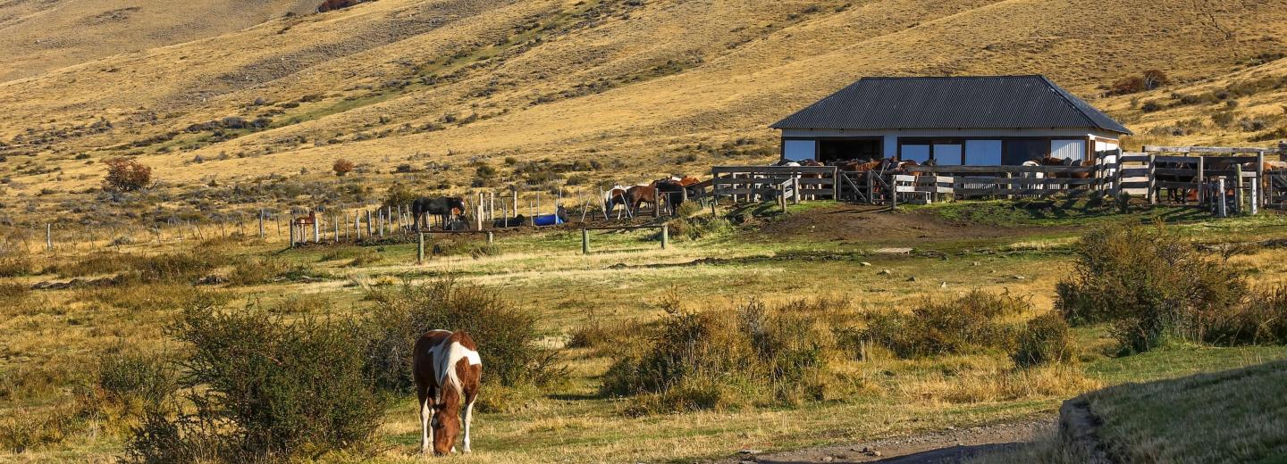 Dél-Amerika és az Antarktisz - városnéző utazás Buenos Airesbe és hajóút
