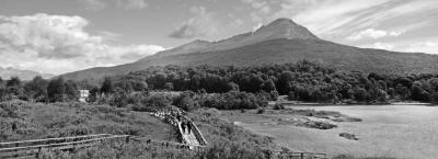 9840253/ushuaia-adobestock-282792308_1776068649065.jpeg