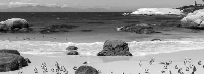 9840434/boulders-beach-adobestock-257745938_1776146169159.jpeg