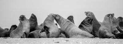 9840434/walvis-bay-adobestock-121860538_1776146210439.jpeg