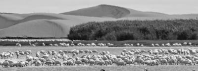 9840434/walvis-bay-adobestock-1881747177_1776146006081.jpeg