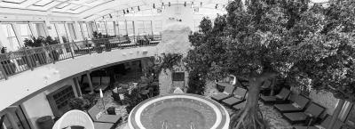 9840958/aidablu-aidamar-aidasol-aidastella-body-soul-spa-03_1776171607157.jpg