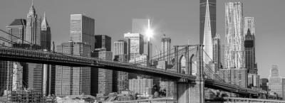9842244/new-york-adobestock-127939745_1776322092708.jpeg