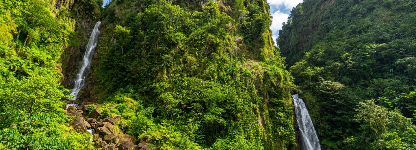 Große Winterpause Karibik & Amazonas - Kreuzfahrt