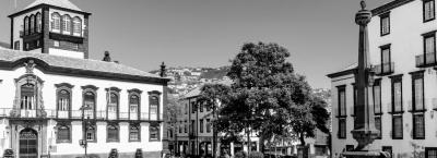 9846401/adobestock-163968843-madeira_1776756922041.jpeg