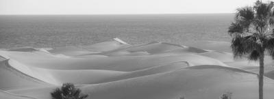 9846401/adobestock-224149393-gran-canaria_1776756791486.jpeg