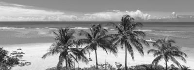 9846401/adobestock-359800450-barbados_1776756827152.jpeg