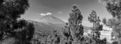 9846401/adobestock-489878334-tenerifa_1776756902821.jpeg