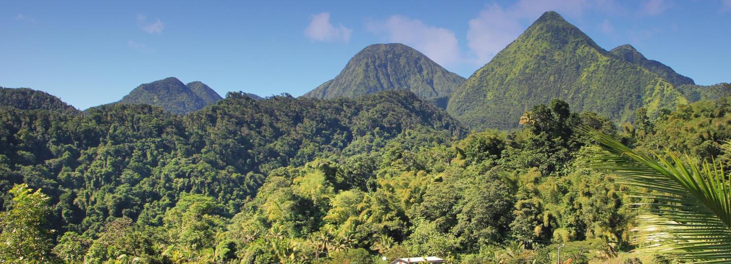 Große Winterpause Karibik & Amazonas - Kreuzfahrt