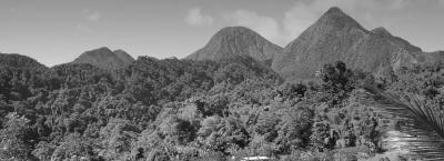 9846401/adobestock-63518376-dominica_1776756863905.jpeg