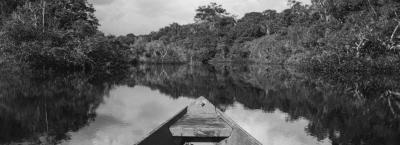 9846401/amazonas-adobestock-282245549_1776756816187.jpeg