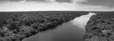 9846401/amazonas-brazil-adobestock-291731472_1776756678236.jpeg
