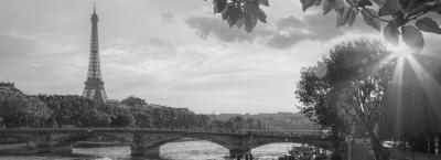 9846425/adobestock-176126221_1776955878618.jpeg