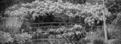 9846425/monetgarten-br-cke-adobestock-645071286_1776936116115.jpeg