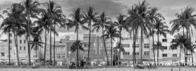 9846426/adobestock-581101247-fort-myers-beach-print-kopie_1777274294487.jpeg