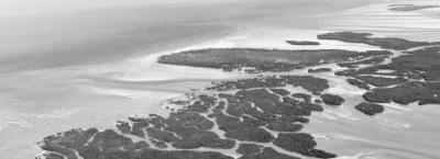 9846426/floridakeys-florida-usa-gettyimages-142527264_1776781901350.jpg