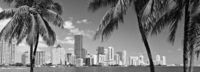 9846426/miami-gettyimages-1147016023_1776781901345.jpg