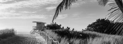 9846426/miami-istock-000046009868-xxxlarge_1776781901339.jpg