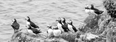 9859200/adobestock-123780310-grossbritanien_1777382145658.jpeg