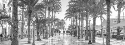 9859204/adobestock-354626998-alicante_1777387662169.jpeg