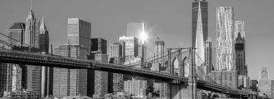 9864445/new-york-adobestock-127939745_1778235420335.jpeg
