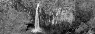 9865068/darwin-adobestock-599668927_1778240265280.jpeg