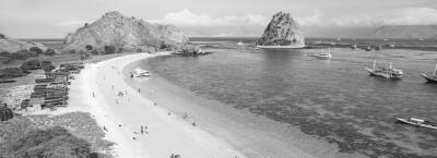 9865068/komodo-adobestock-940961899_1778239895524.jpeg