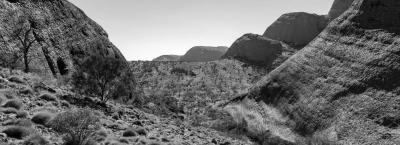 9865068/outback-adobestock-1935362472_1778240324086.jpeg