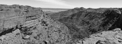 9865068/outback-adobestock-538524908_1778239906157.jpeg