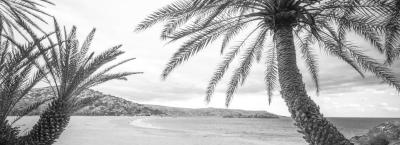 9868213/vbg223708-strand-von-vai-kreta-griechenland_1778592914256.jpg
