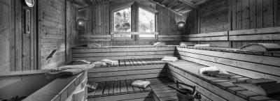 9877695/palace-bad-hofgastein-bad-hofgastein-301117-12928-1_1779268362176.jpg