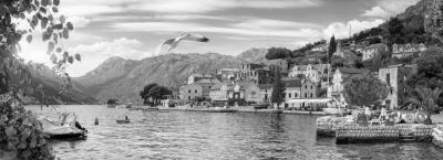 9877710/kotor-adobestock-415563318_1779271925245.jpeg