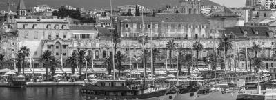 9877710/split-adobestock-192066786_1779272168881.jpeg