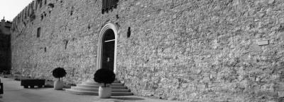 9883677/cittar-novigrad-140611-7988-2_1779803982868.jpg