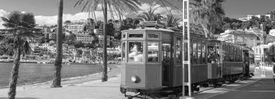 9888556/palma-de-mallorca-adobestock-1898934970_1780048338735.jpeg