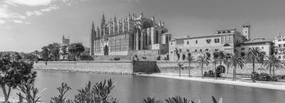 9888556/palma-de-mallorca-adobestock-245603269_1780048298546.jpeg