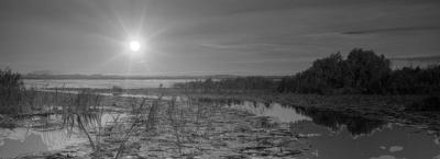 9895805/donaudelta-abendstimmung-adobestock-369882958_1780494528545.jpeg