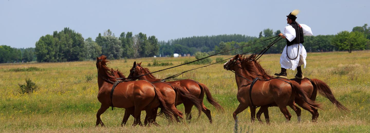 Bécstől a Fekete-tengerig - folyami hajóút