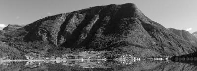 9896535/skjolden-adobestock-382932283_1780471796973.jpeg
